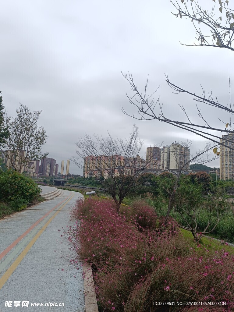 城市中蜿蜒的花草小径