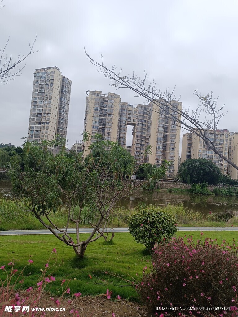 城市公园旁的高楼景观