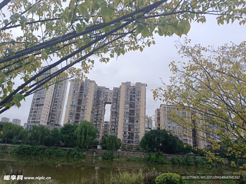 湖畔高楼与葱郁树木景观