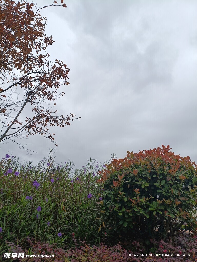 户外多彩植物景观