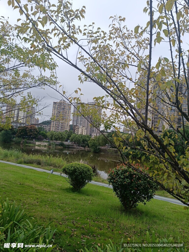 城市中静谧的园林景致