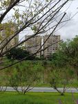 城市中绿意环绕的建筑