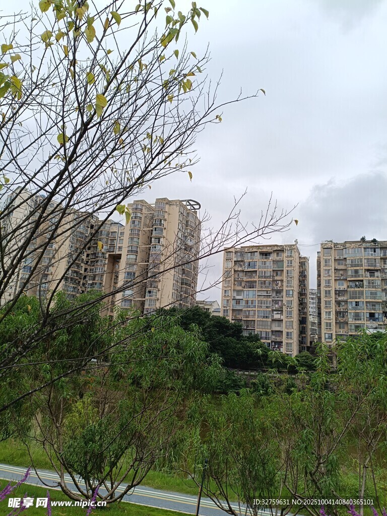 城郊住宅区与绿植景观