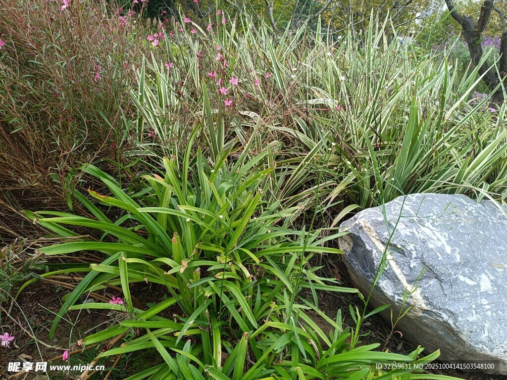 石畔绿植景观