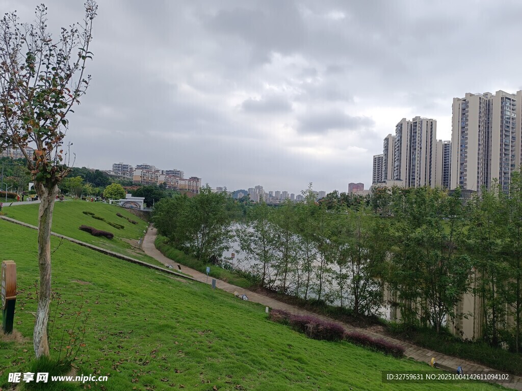 河畔绿地旁的城市风景