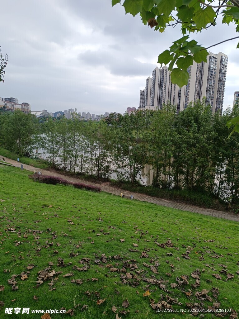 城市河畔的绿意景致