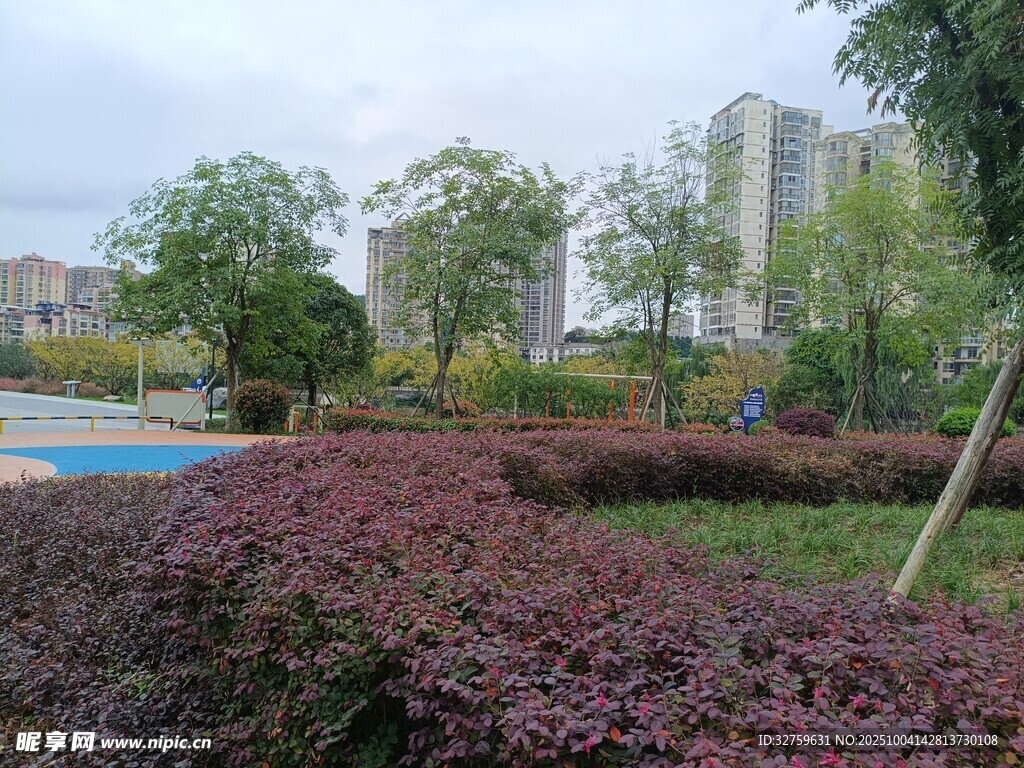 城市中色彩斑斓的绿化景观