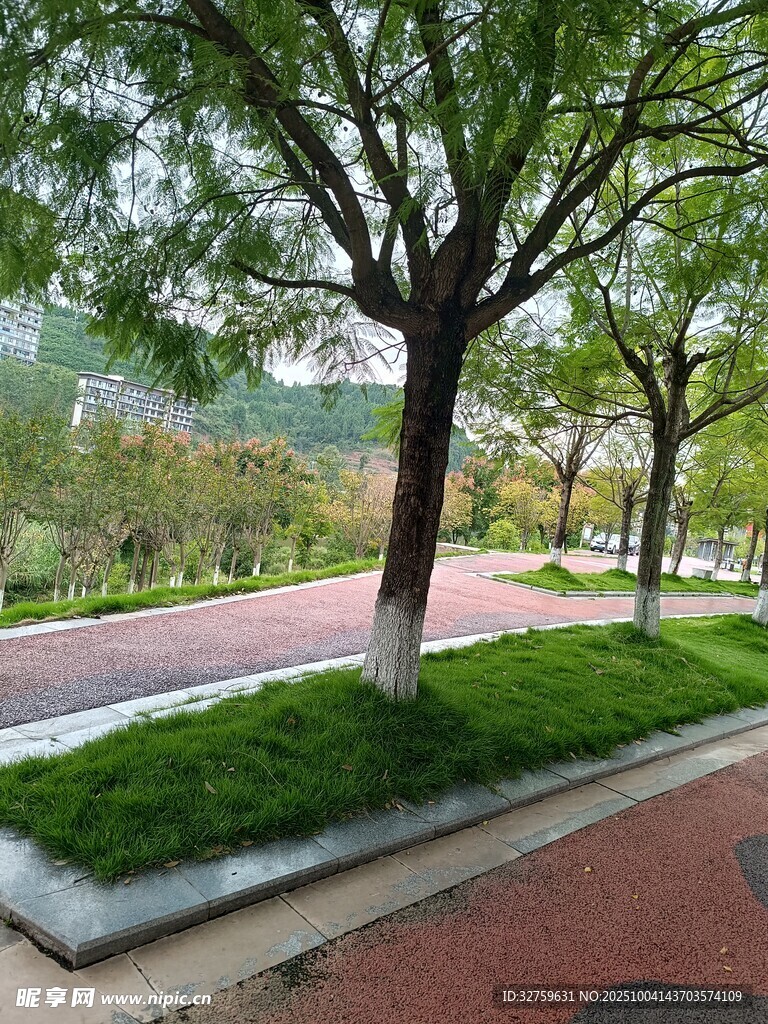 城市林荫道景观