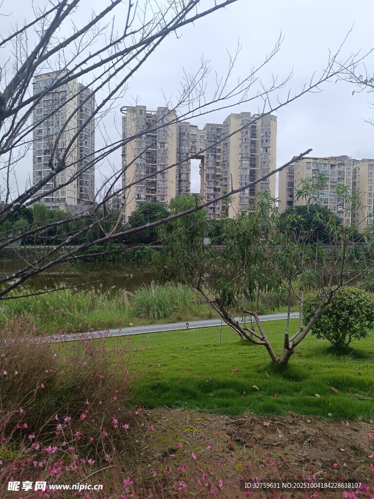 城市旁的绿意公园景致