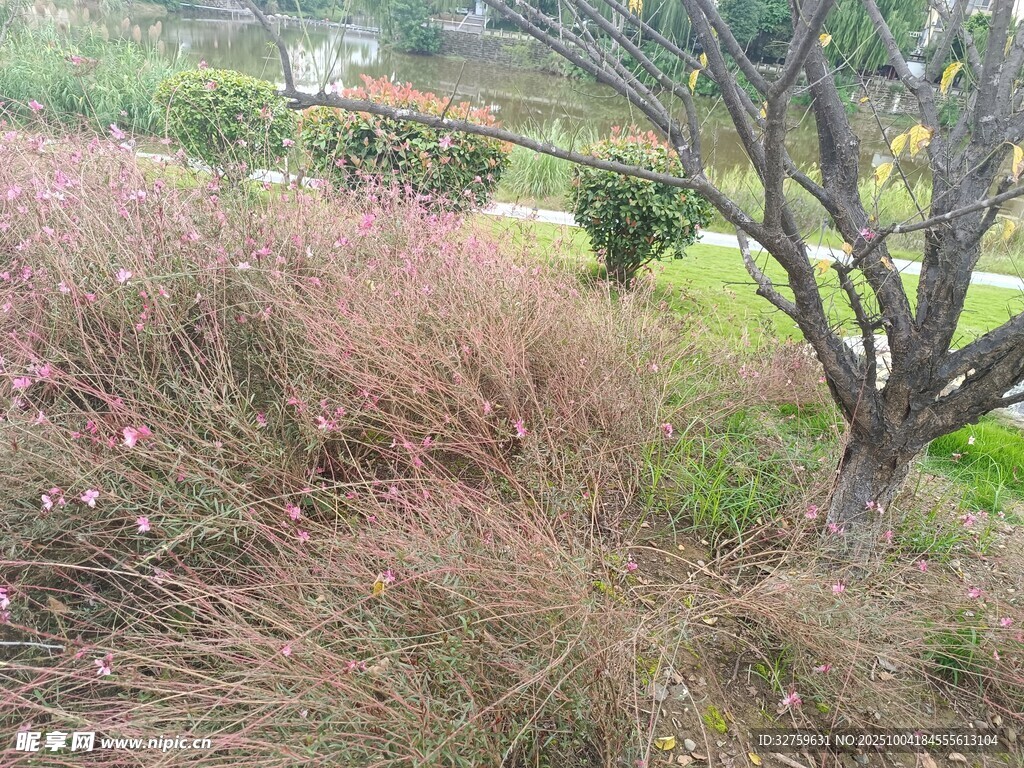 秋日园林景观一角