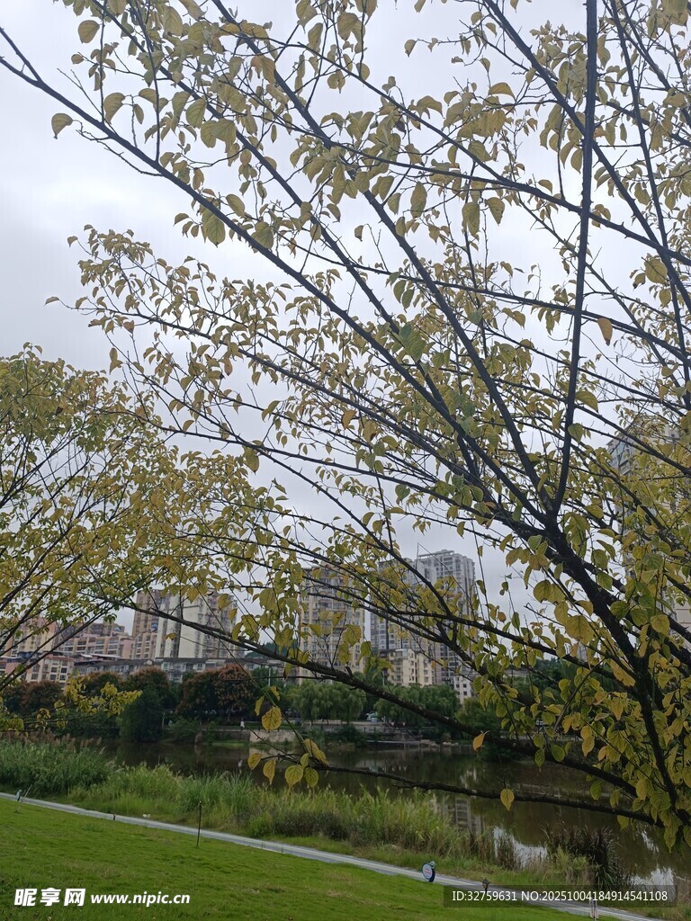 春日公园景致
