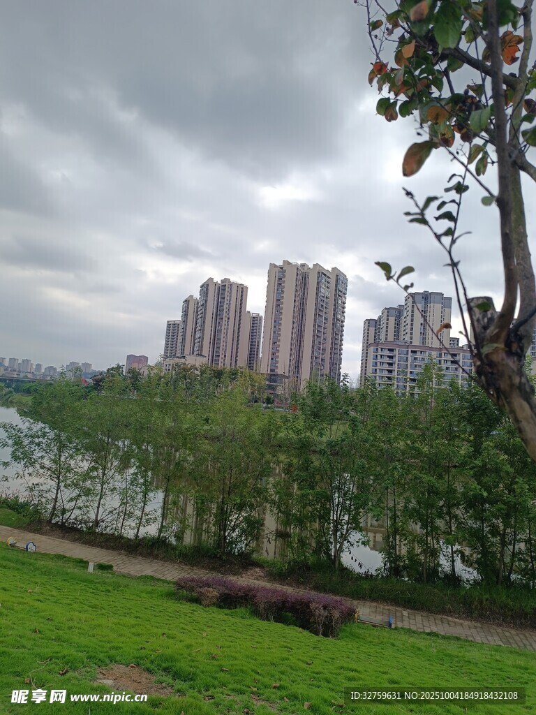 河畔绿地旁的高楼景观