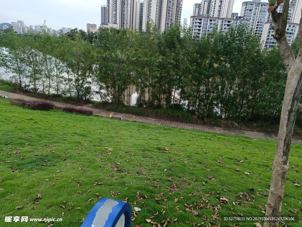 城市绿地旁的河畔景致