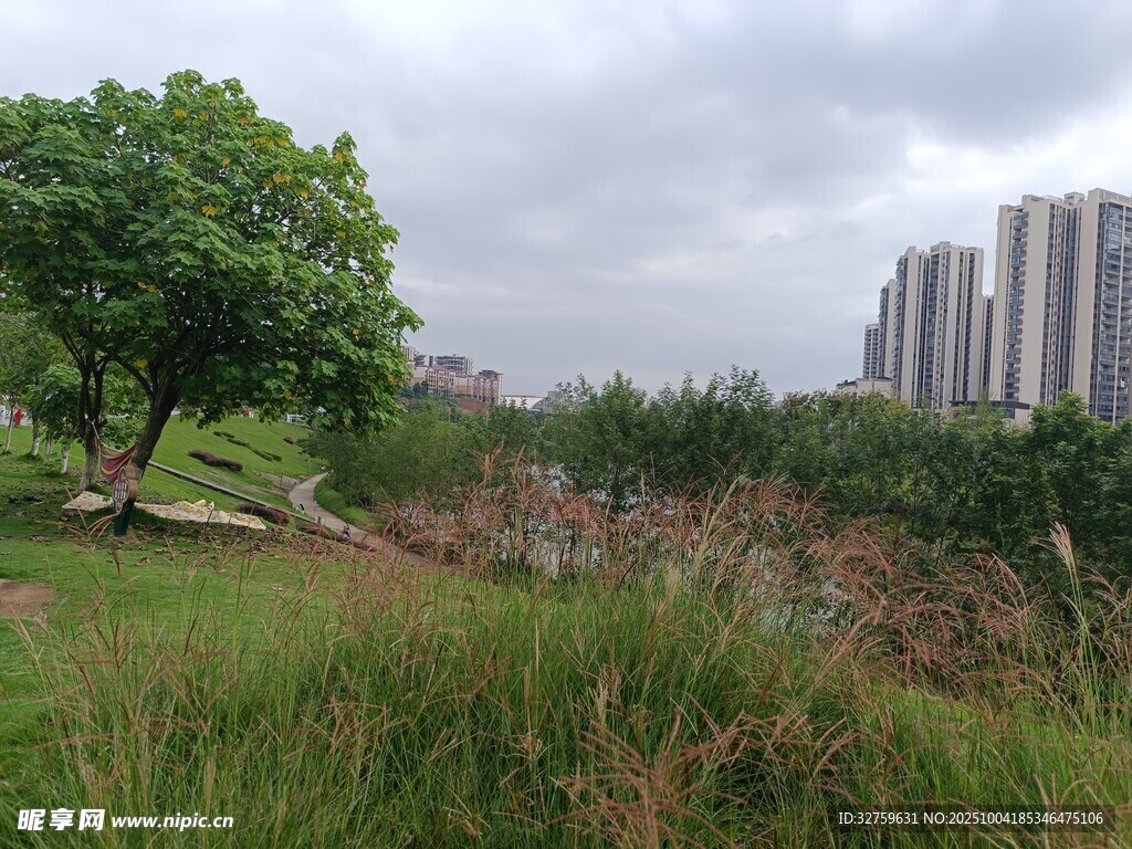 城郊草地与远处高楼景观