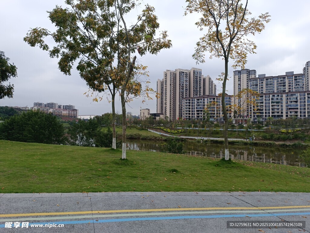 城市公园中的绿树与建筑