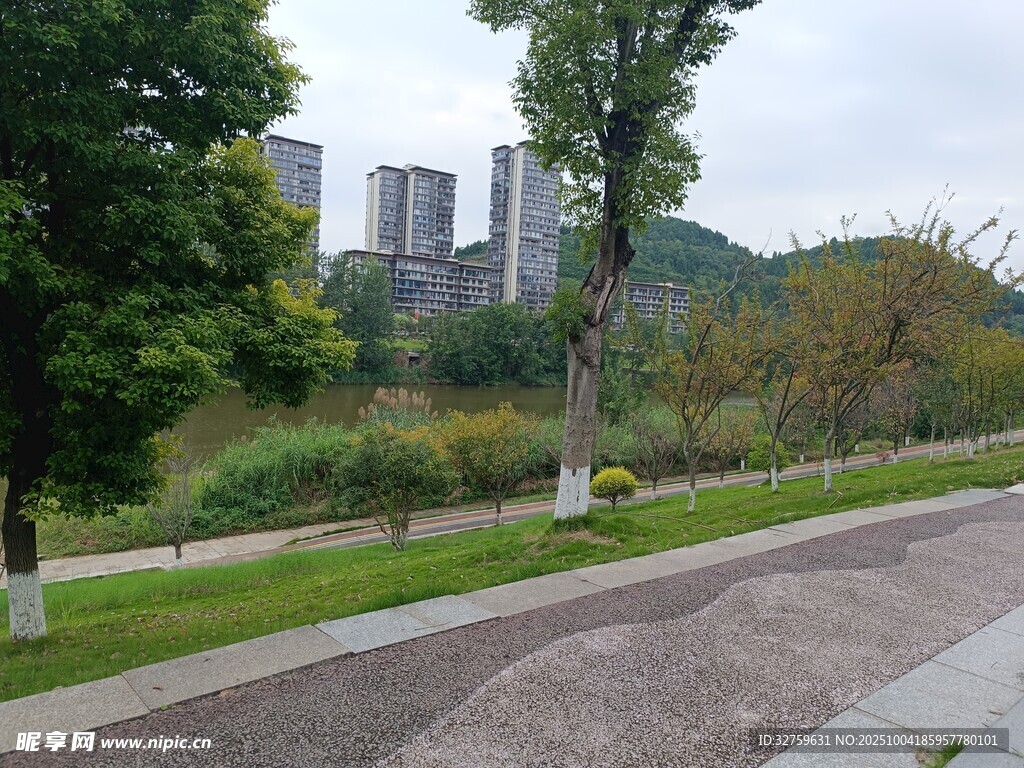 城市公园中的步道与景致