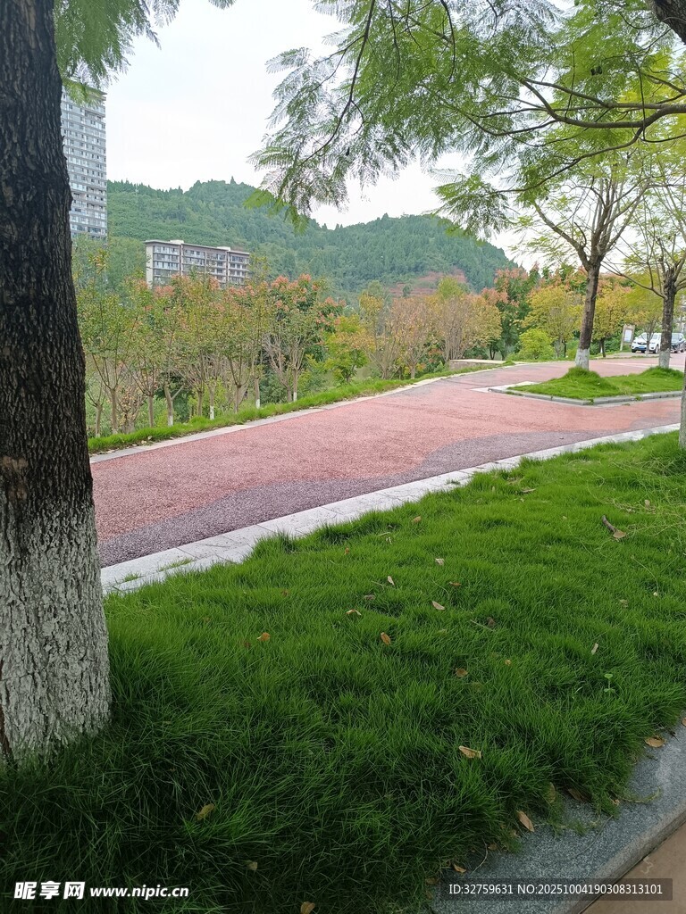 公园中的绿树红道风景