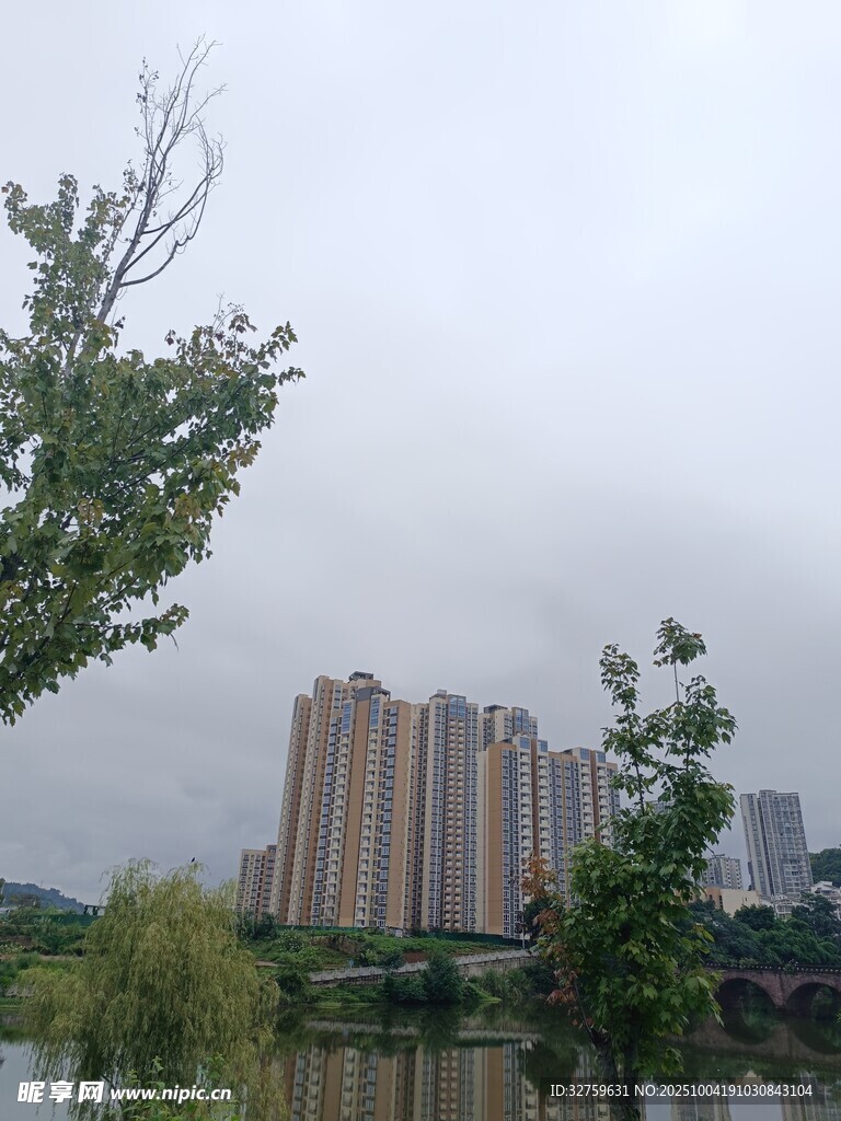 湖畔高楼与绿树景观