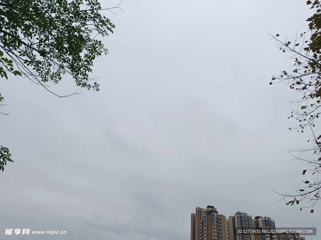 阴天中的城市高楼景观