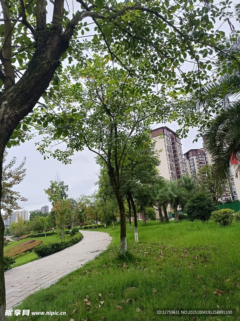 城市中静谧的林荫小径