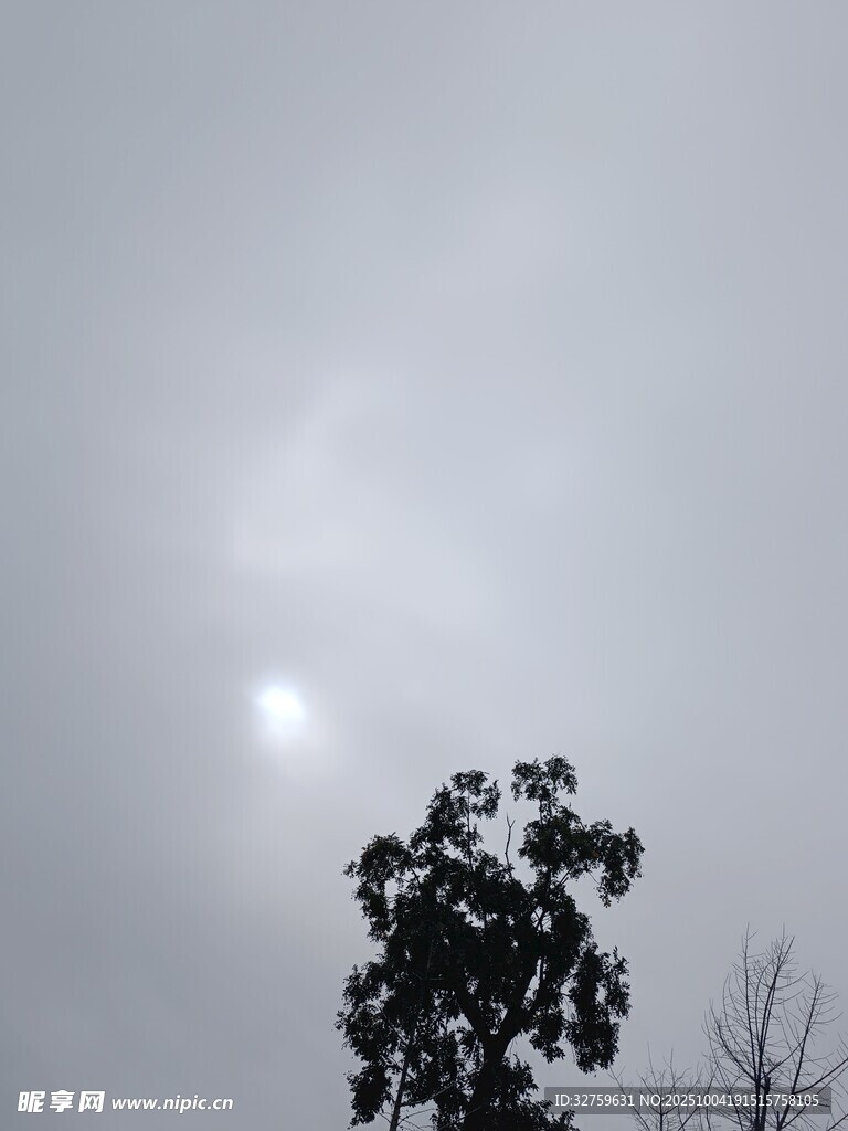 天空中的日晕与树木