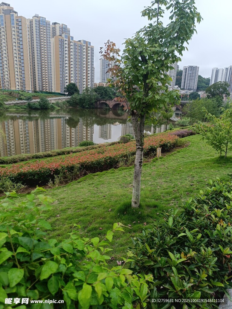 城市河畔绿意盎然风景
