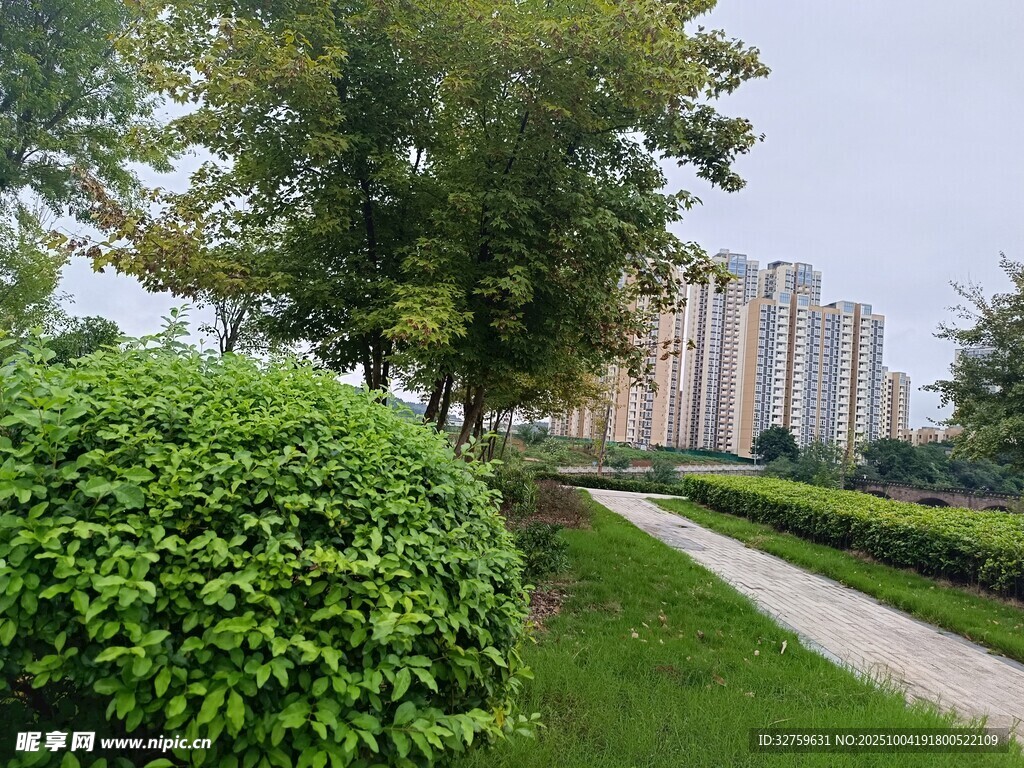 城市中的绿意小径景观