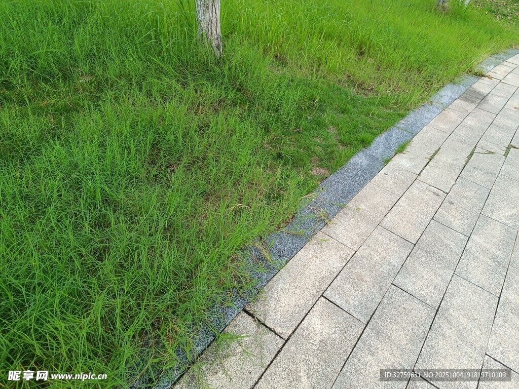 砖砌小径旁的翠绿草地