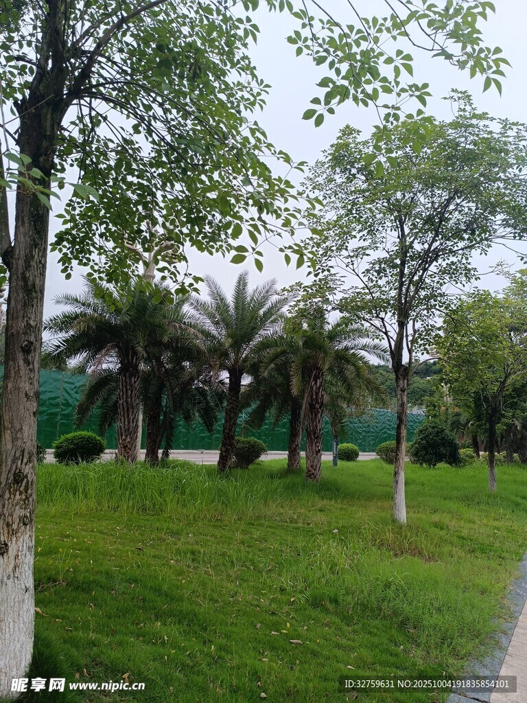 绿意盎然的公园小径