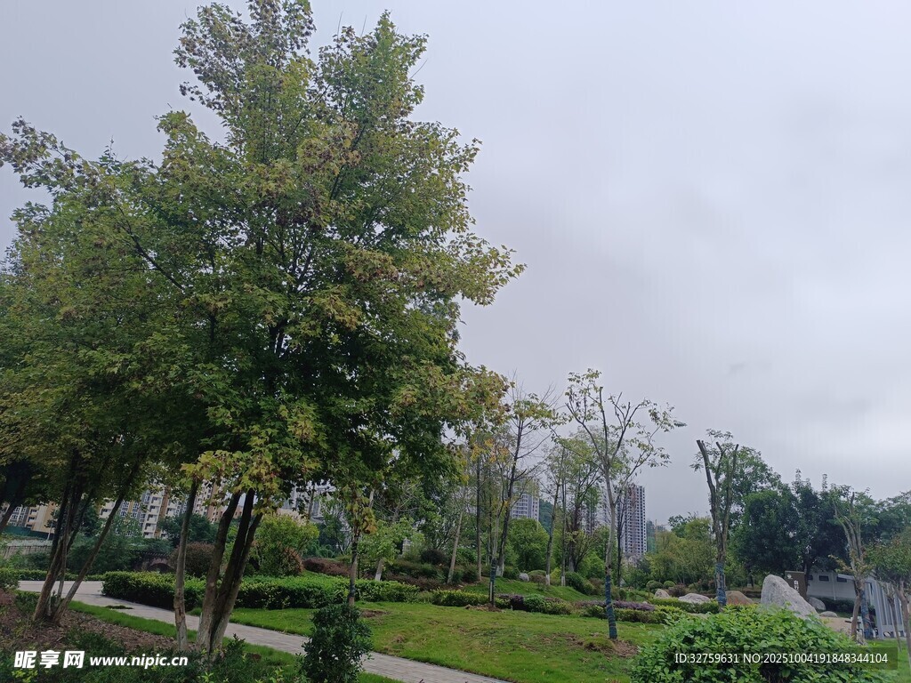 城市中的静谧绿化景观
