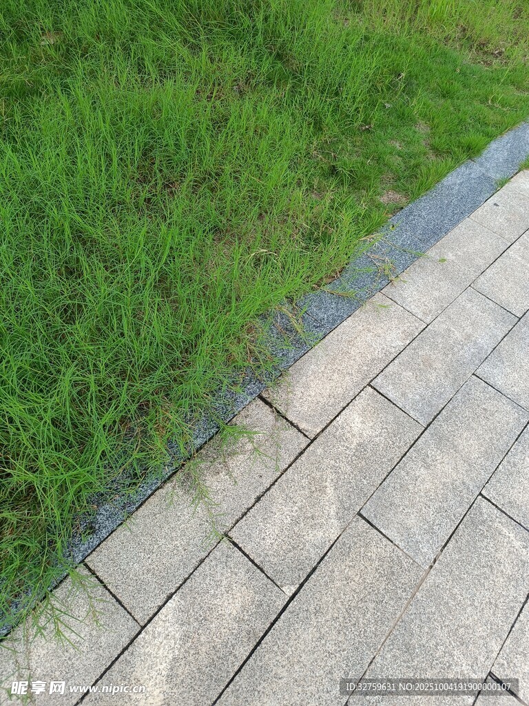 砖石小径旁的翠绿草地
