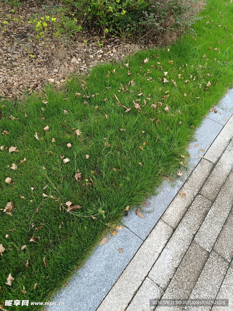 路边草地与砖石步道景观