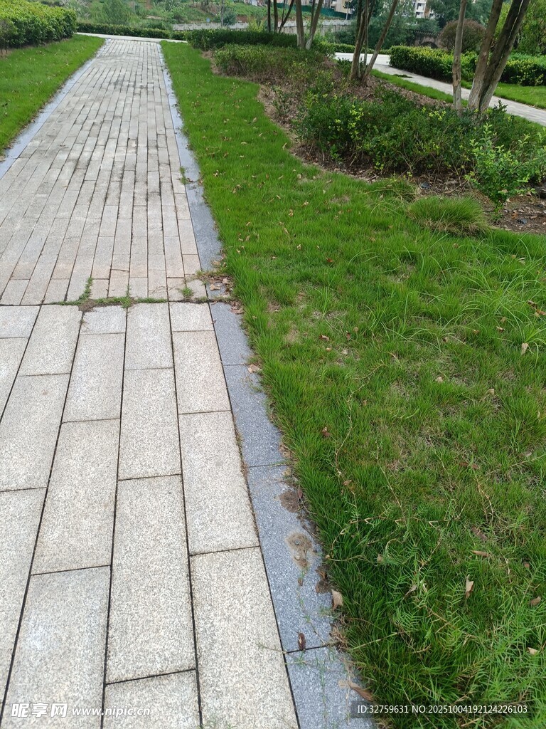 公园中的砖石步道