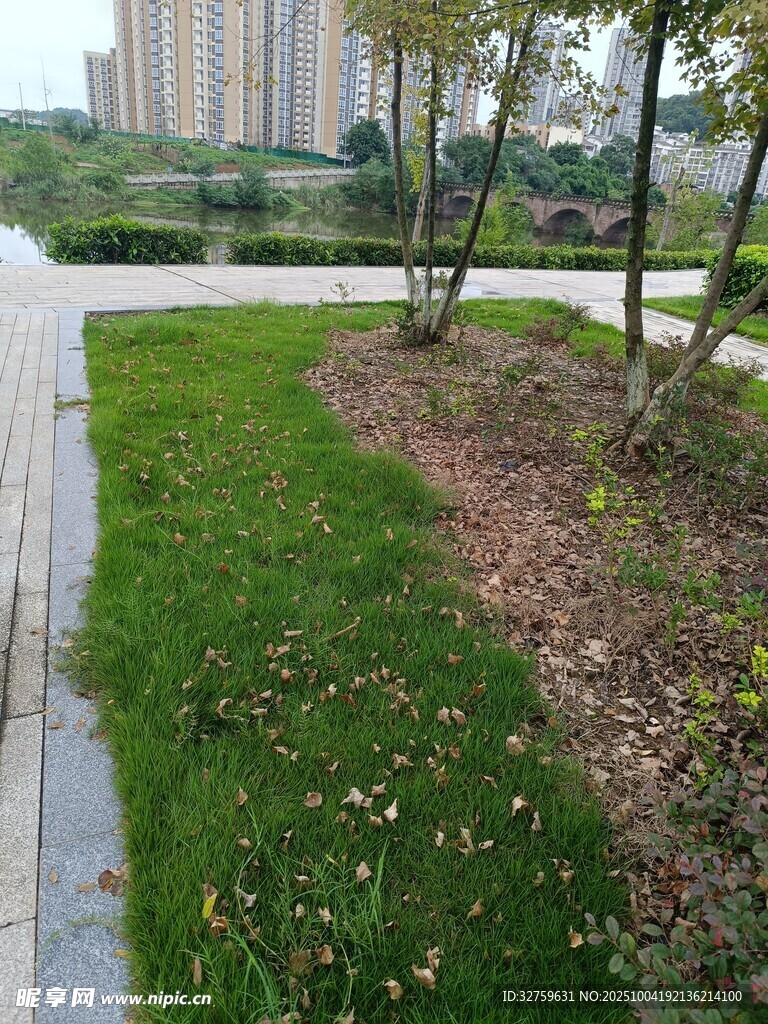 城市公园中的绿地景观