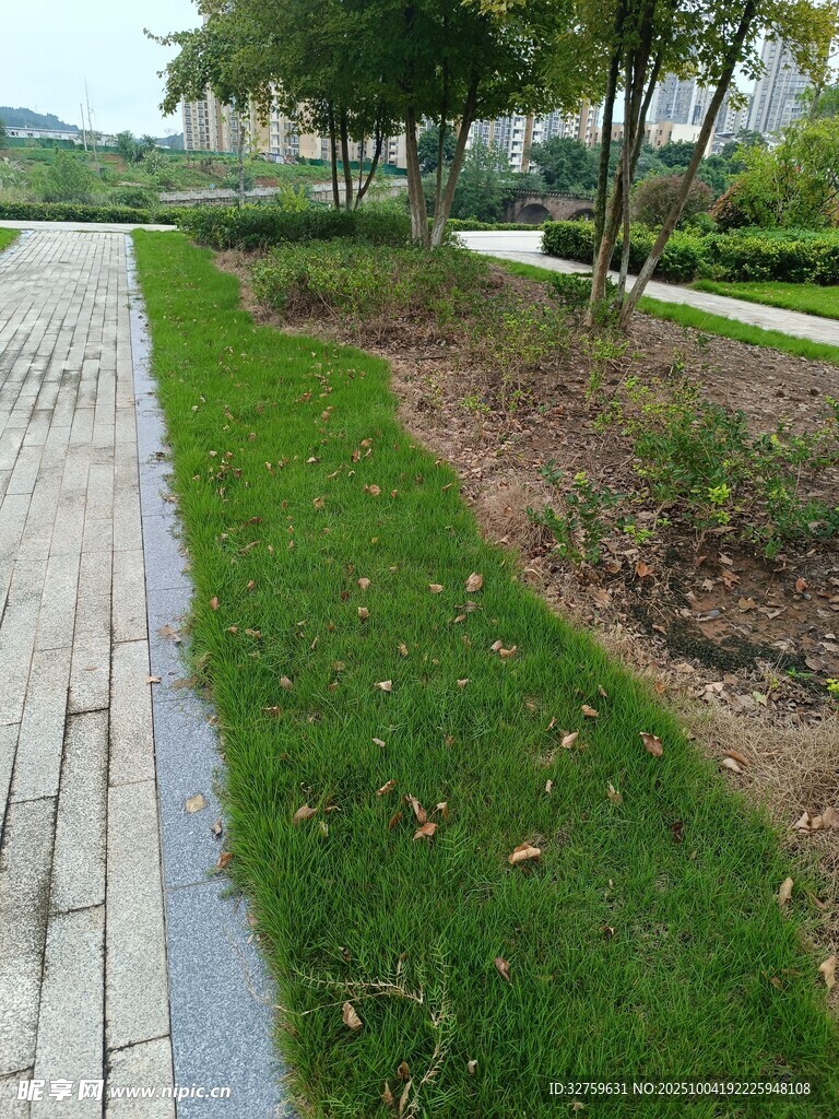 城市绿化带景观