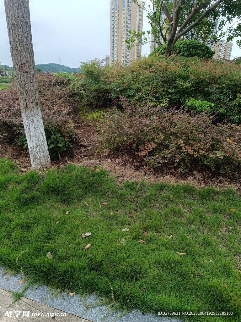 户外绿植景观一角