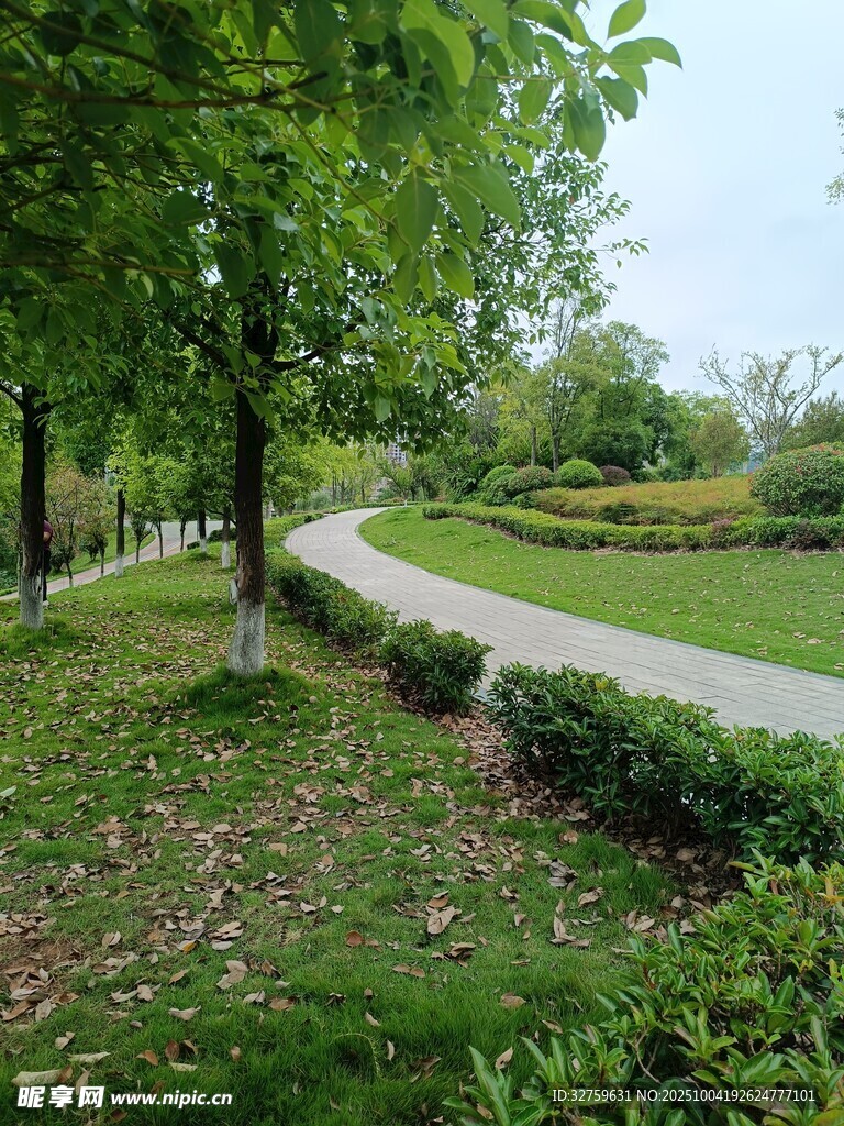 林间小