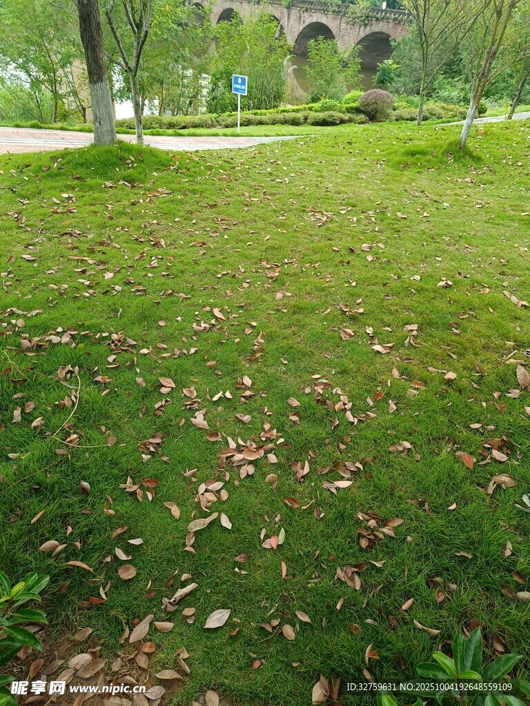 户外翠绿草地及远处拱桥