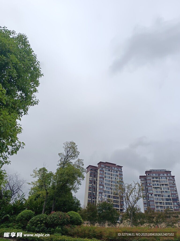 绿树环绕的城市住宅楼