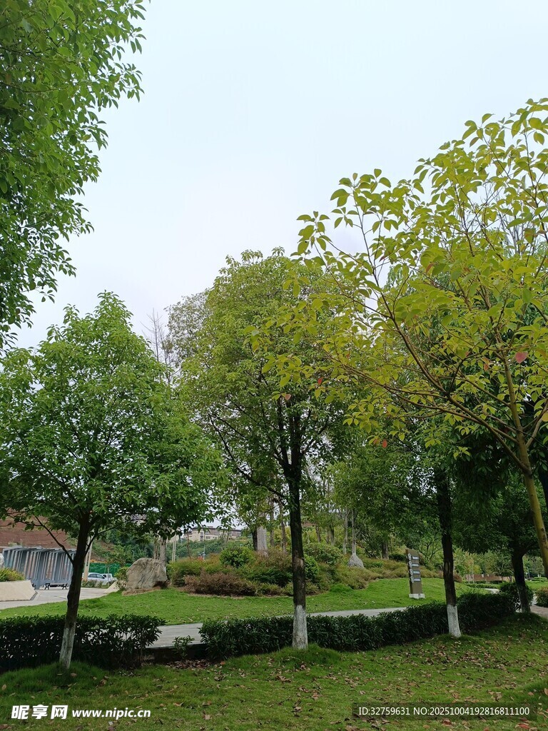 绿意盎然的公园景致