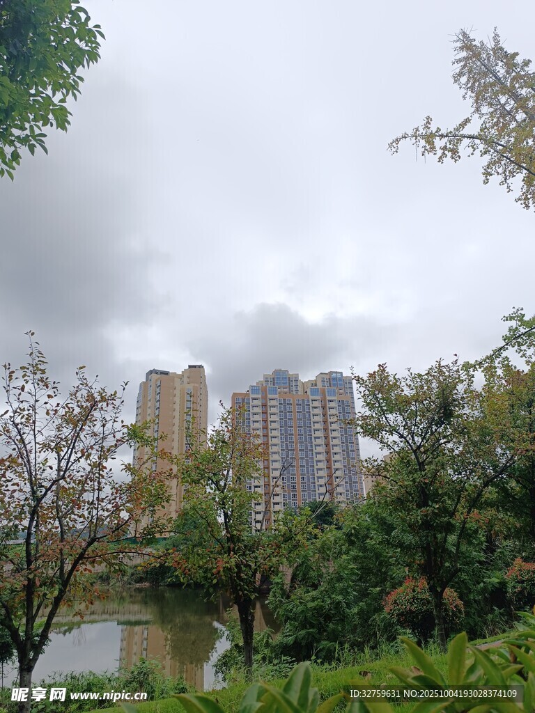 城市中的绿植与高楼美景