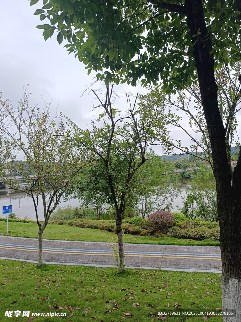湖畔绿树成荫的宁静小路