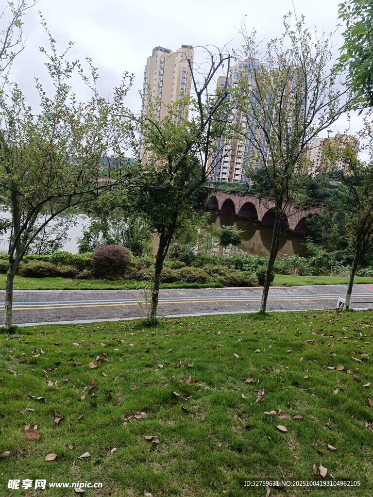 城市河畔公园风景