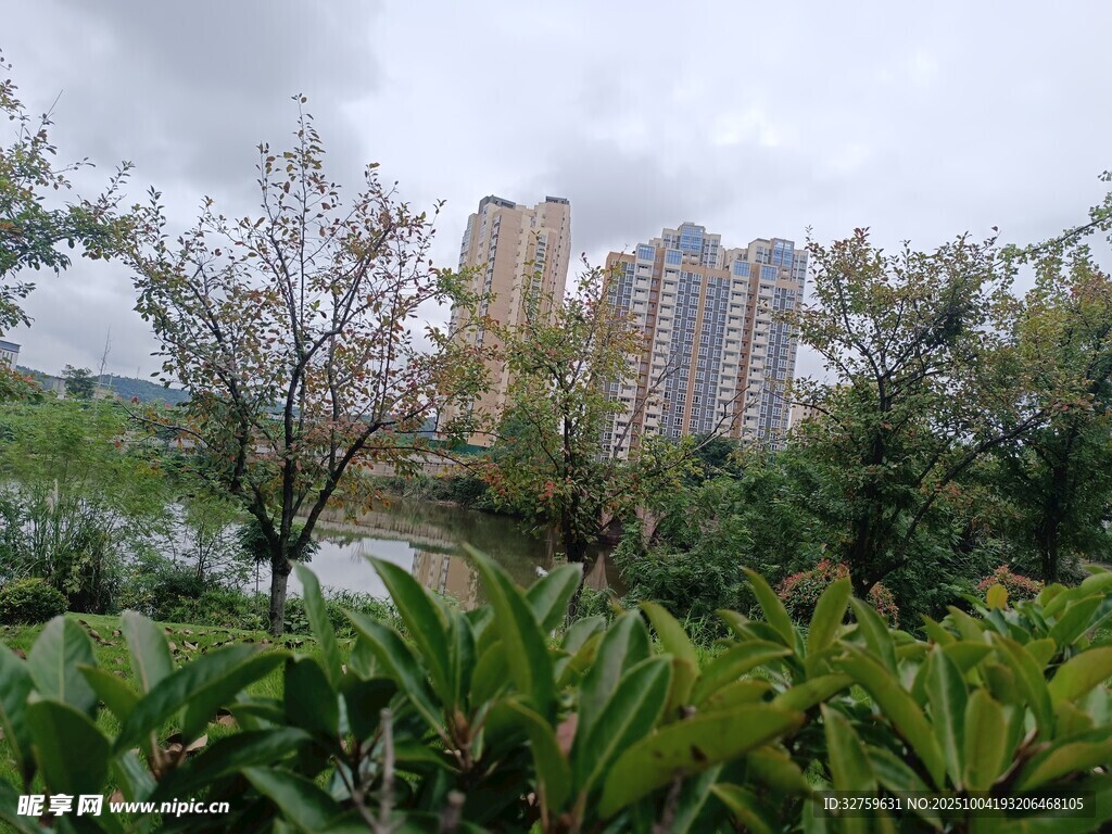 城市中的绿植与高楼景观