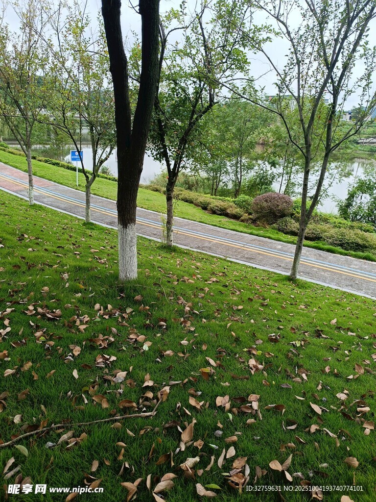 秋日林荫道