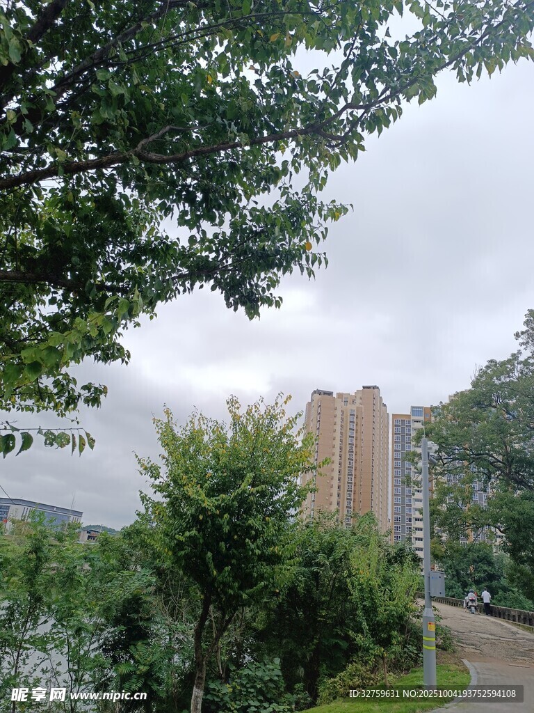 绿树环绕中的建筑景观