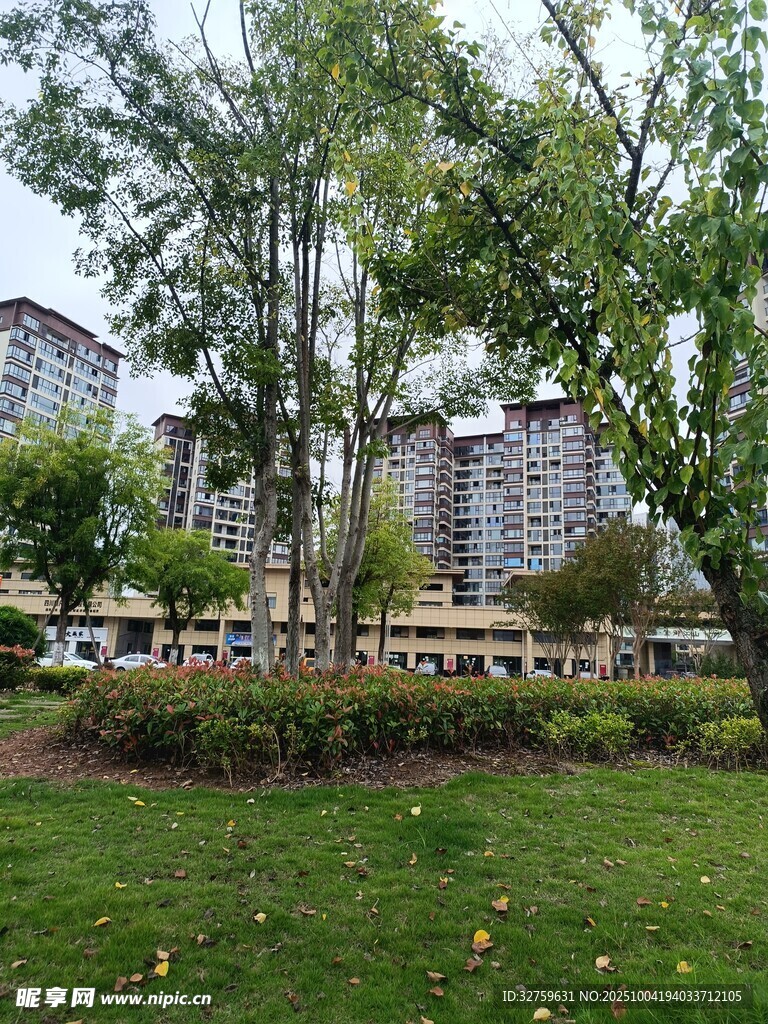 小区内的绿树与草坪景观