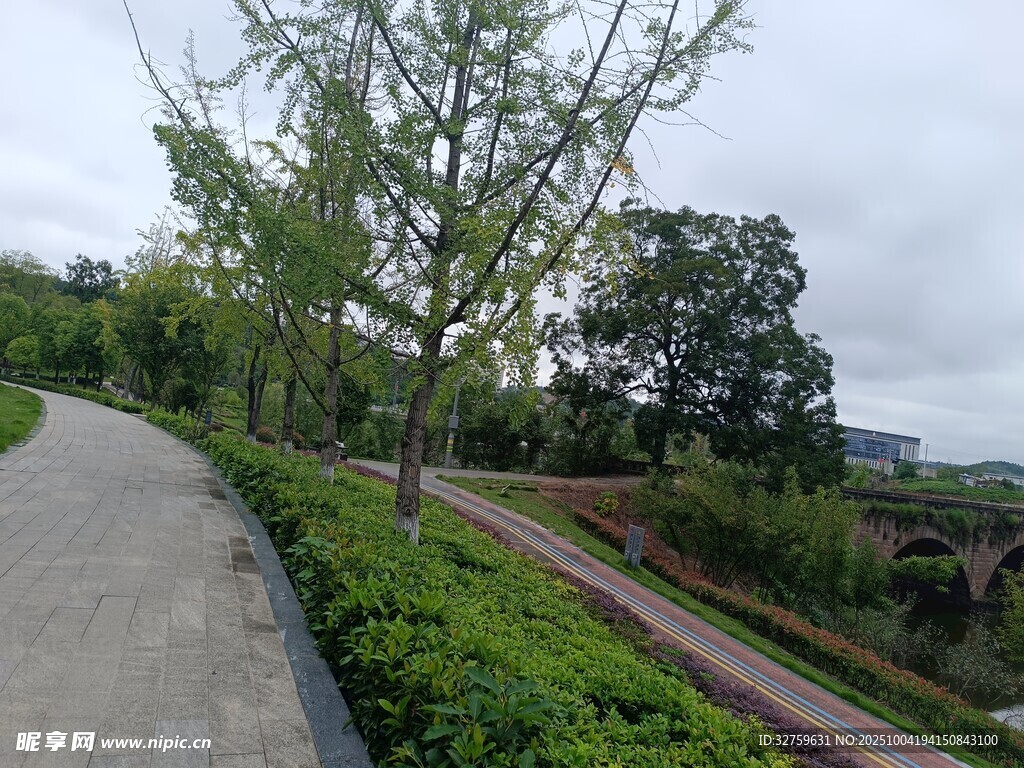 蜿蜒小路旁的绿植景观