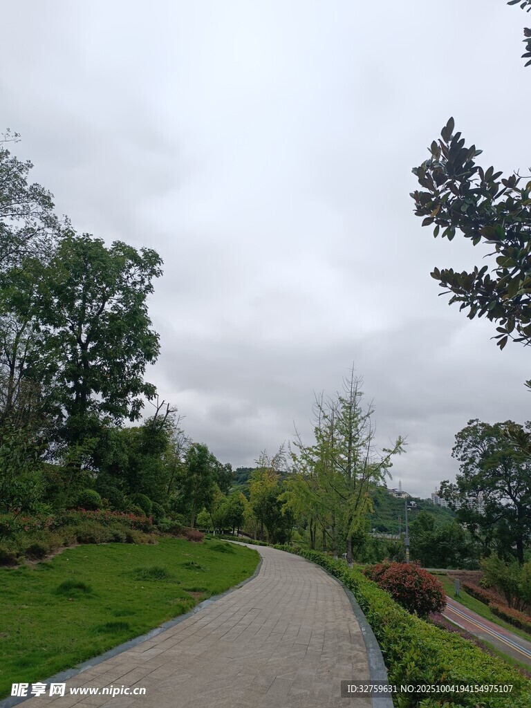 蜿蜒小路旁的葱郁景致