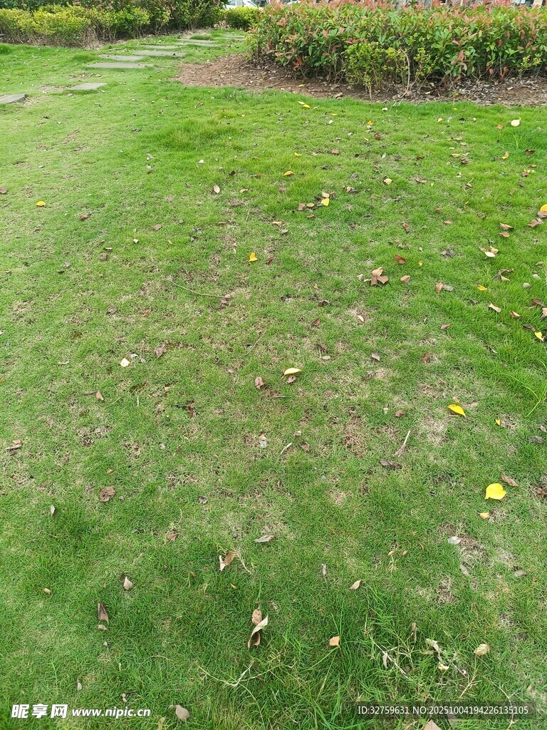 户外翠绿草坪景观
